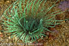 Nudi_Retreat