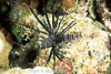 Cobb's_Cliff