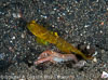 Segar-2012-12-1540.jpg