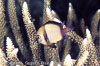 SegarA5849.jpg